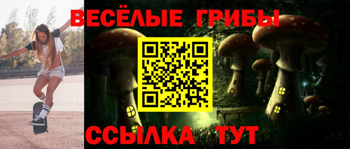 Юрга  Галлюциногенные грибы MAGIC MUSHROOMS  Псилоцибиновые грибы Magic Shrooms  Вход с VPN 